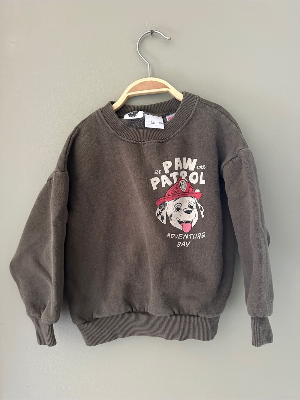 Zara x Paw Patrol Crewneck Sweatshirt